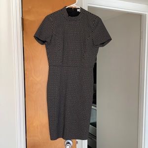J Crew Dress